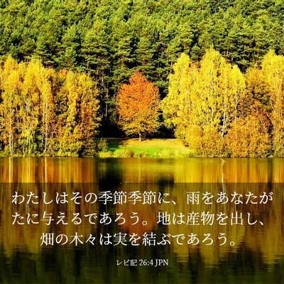 Picture 03 - レビ記 26:4 JPN - わたしはその季節季節に、雨をあな - Bible Verse Picture