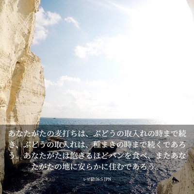 Picture 03 - レビ記 26:5 JPN - あなたがたの麦打ちは、ぶどうの取 - Bible Verse Picture