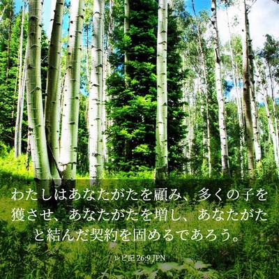 Picture 03 - レビ記 26:9 JPN - わたしはあなたがたを顧み、多くの - Bible Verse Picture