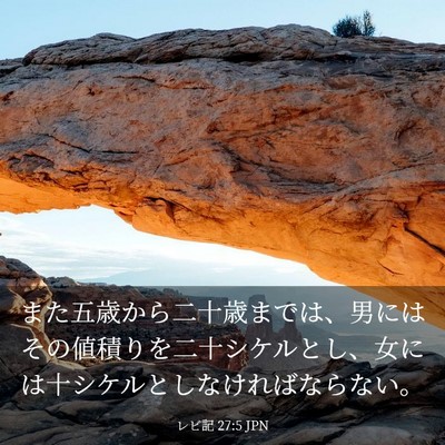 Picture 03 - レビ記 27:5 JPN - また五歳から二十歳までは、男には - Bible Verse Picture