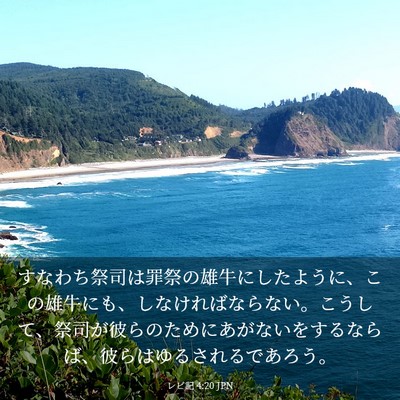 Picture 03 - レビ記 4:20 JPN - すなわち祭司は罪祭の雄牛にしたよ - Bible Verse Picture