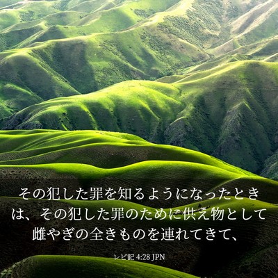 Picture 03 - レビ記 4:28 JPN - その犯した罪を知るようになったと - Bible Verse Picture