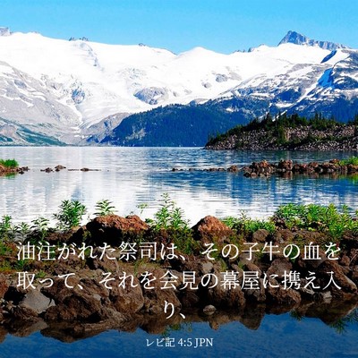 Picture 03 - レビ記 4:5 JPN - 油注がれた祭司は、その子牛の血を - Bible Verse Picture