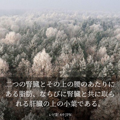 Picture 03 - レビ記 4:9 JPN - 二つの腎臓とその上の腰のあたりに - Bible Verse Picture