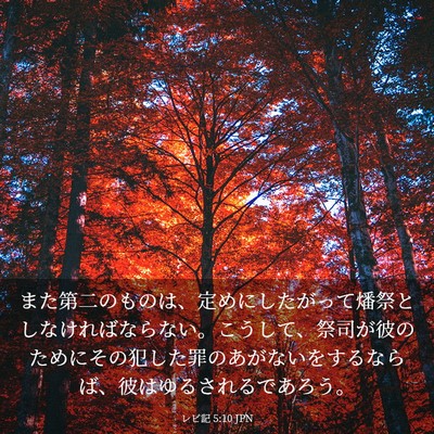 Picture 03 - レビ記 5:10 JPN - また第二のものは、定めにしたがっ - Bible Verse Picture