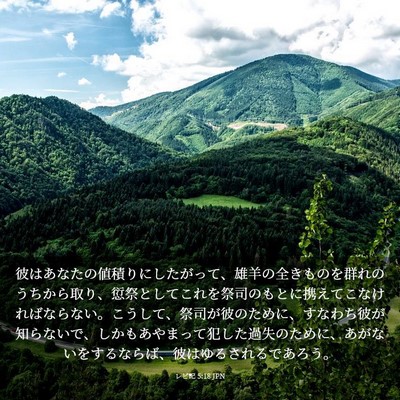 Picture 03 - レビ記 5:18 JPN - 彼はあなたの値積りにしたがって、 - Bible Verse Picture