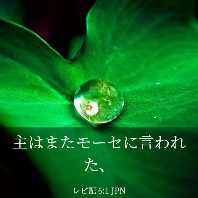 Picture 03 - レビ記 6:1 JPN - 主はまたモーセに言われた、 - Bible Verse Picture