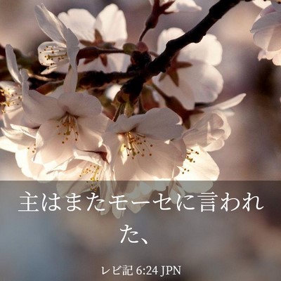 Picture 03 - レビ記 6:24 JPN - 主はまたモーセに言われた、 - Bible Verse Picture