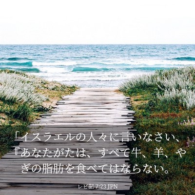 Picture 03 - レビ記 7:23 JPN - 「イスラエルの人々に言いなさい、 - Bible Verse Picture