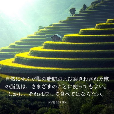 Picture 03 - レビ記 7:24 JPN - 自然に死んだ獣の脂肪および裂き殺 - Bible Verse Picture