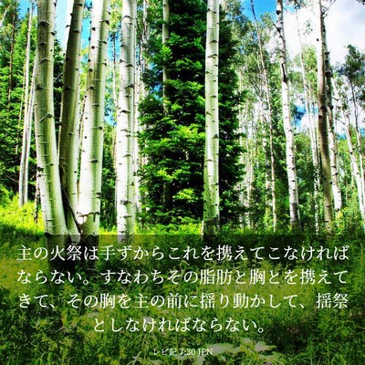 Picture 03 - レビ記 7:30 JPN - 主の火祭は手ずからこれを携えてこ - Bible Verse Picture