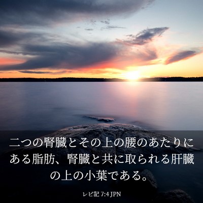 Picture 03 - レビ記 7:4 JPN - 二つの腎臓とその上の腰のあたりに - Bible Verse Picture