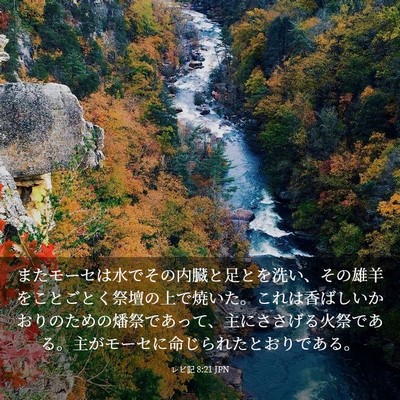 Picture 03 - レビ記 8:21 JPN - またモーセは水でその内臓と足とを - Bible Verse Picture