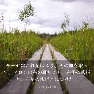 Picture 03 - レビ記 8:23 JPN - モーセはこれをほふり、その血を取 - Bible Verse Picture