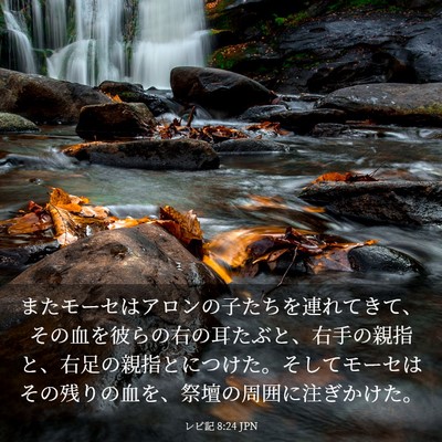 Picture 03 - レビ記 8:24 JPN - またモーセはアロンの子たちを連れ - Bible Verse Picture