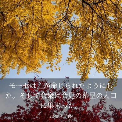 Picture 03 - レビ記 8:4 JPN - モーセは主が命じられたようにした - Bible Verse Picture