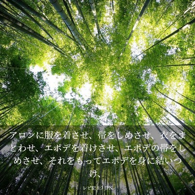 Picture 03 - レビ記 8:7 JPN - アロンに服を着させ、帯をしめさせ - Bible Verse Picture