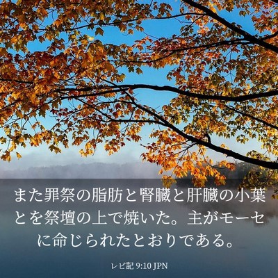 Picture 03 - レビ記 9:10 JPN - また罪祭の脂肪と腎臓と肝臓の小葉 - Bible Verse Picture