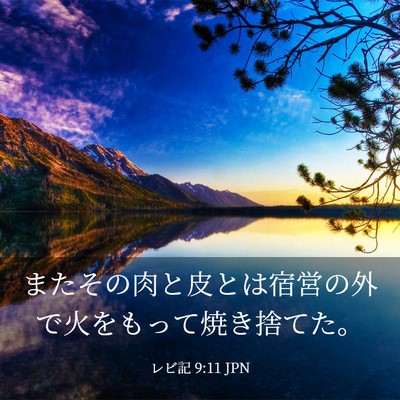 Picture 03 - レビ記 9:11 JPN - またその肉と皮とは宿営の外で火を - Bible Verse Picture