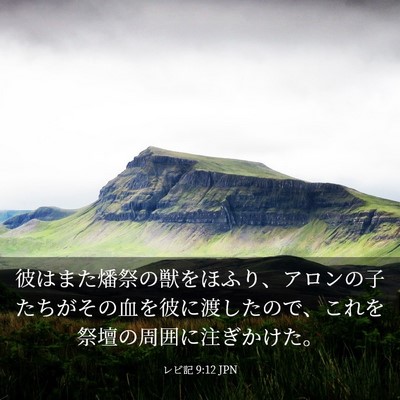 Picture 03 - レビ記 9:12 JPN - 彼はまた燔祭の獣をほふり、アロン - Bible Verse Picture
