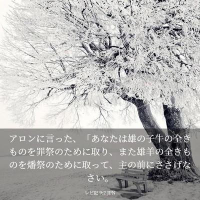 Picture 03 - レビ記 9:2 JPN - アロンに言った、「あなたは雄の子 - Bible Verse Picture