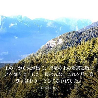 Picture 03 - レビ記 9:24 JPN - 主の前から火が出て、祭壇の上の燔 - Bible Verse Picture