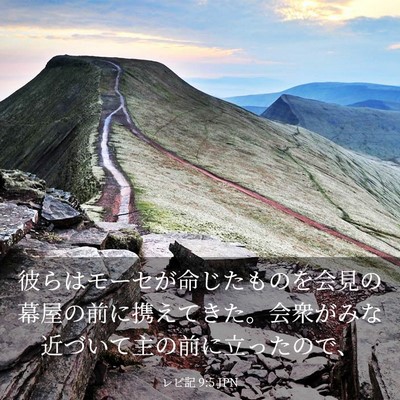 Picture 03 - レビ記 9:5 JPN - 彼らはモーセが命じたものを会見の - Bible Verse Picture