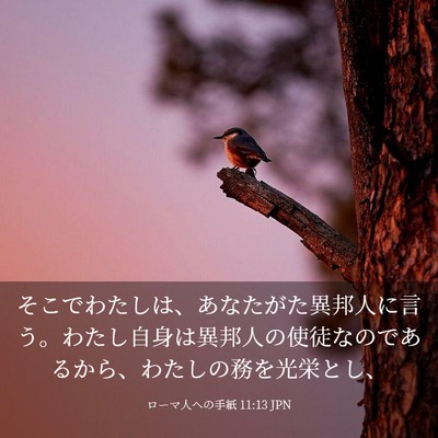 Picture 03 - ローマ人への手紙 11:13 JPN - そこでわたしは、あなたがた異邦人 - Bible Verse Picture