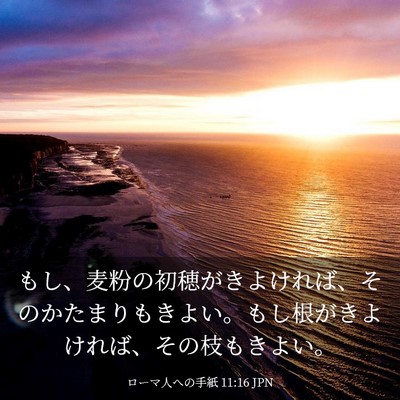 Picture 03 - ローマ人への手紙 11:16 JPN - もし、麦粉の初穂がきよければ、そ - Bible Verse Picture