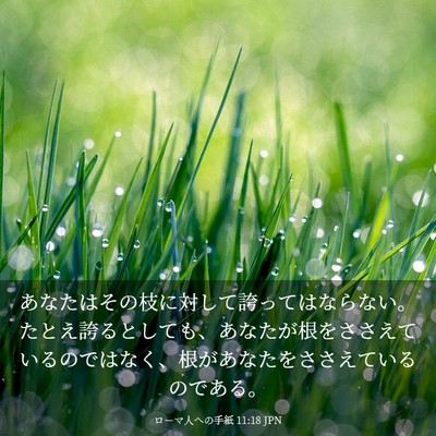 Picture 03 - ローマ人への手紙 11:18 JPN - あなたはその枝に対して誇ってはな - Bible Verse Picture