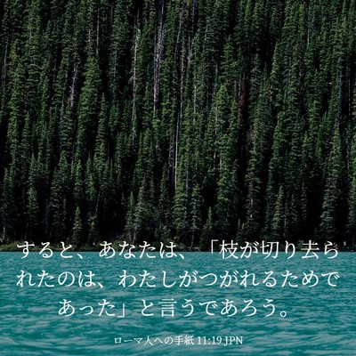 Picture 03 - ローマ人への手紙 11:19 JPN - すると、あなたは、「枝が切り去ら - Bible Verse Picture