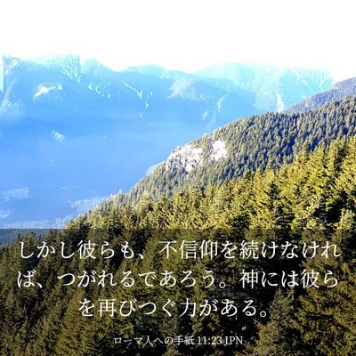 Picture 03 - ローマ人への手紙 11:23 JPN - しかし彼らも、不信仰を続けなけれ - Bible Verse Picture