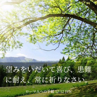 Picture 03 - ローマ人への手紙 12:12 JPN - 望みをいだいて喜び、患難に耐え、 - Bible Verse Picture