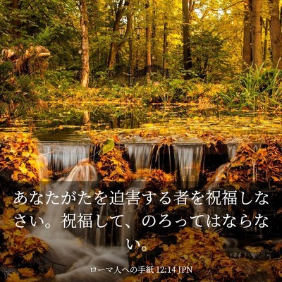Picture 03 - ローマ人への手紙 12:14 JPN - あなたがたを迫害する者を祝福しな - Bible Verse Picture