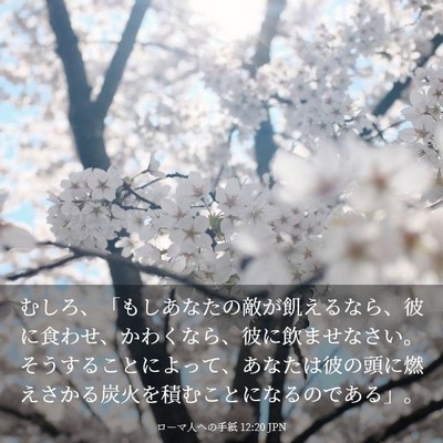 Picture 03 - ローマ人への手紙 12:20 JPN - むしろ、「もしあなたの敵が飢える - Bible Verse Picture
