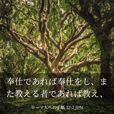 Picture 03 - ローマ人への手紙 12:7 JPN - 奉仕であれば奉仕をし、また教える - Bible Verse Picture