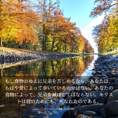 Picture 03 - ローマ人への手紙 14:15 JPN - もし食物のゆえに兄弟を苦しめるな - Bible Verse Picture