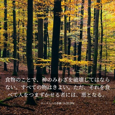 Picture 03 - ローマ人への手紙 14:20 JPN - 食物のことで、神のみわざを破壊し - Bible Verse Picture