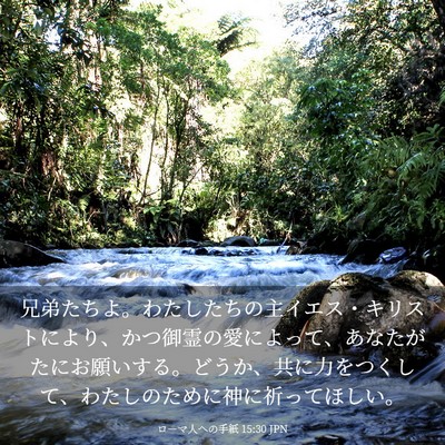 Picture 03 - ローマ人への手紙 15:30 JPN - 兄弟たちよ。わたしたちの主イエス - Bible Verse Picture