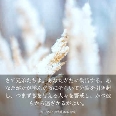 Picture 03 - ローマ人への手紙 16:17 JPN - さて兄弟たちよ。あなたがたに勧告 - Bible Verse Picture