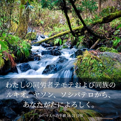 Picture 03 - ローマ人への手紙 16:21 JPN - わたしの同労者テモテおよび同族の - Bible Verse Picture