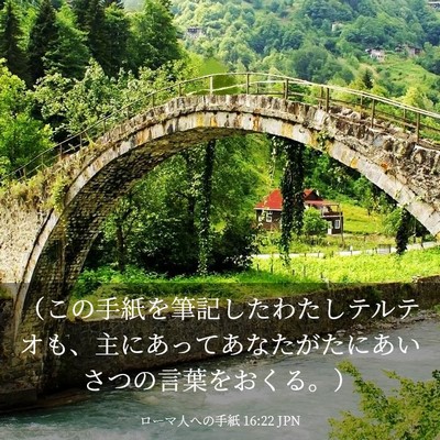 Picture 03 - ローマ人への手紙 16:22 JPN - （この手紙を筆記したわたしテルテ - Bible Verse Picture