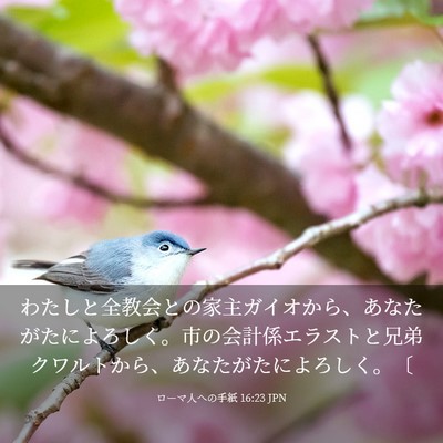 Picture 03 - ローマ人への手紙 16:23 JPN - わたしと全教会との家主ガイオから - Bible Verse Picture