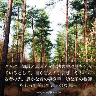 Picture 03 - ローマ人への手紙 2:20 JPN - さらに、知識と真理とが律法の中に - Bible Verse Picture