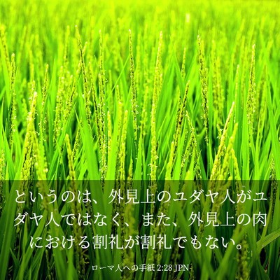 Picture 03 - ローマ人への手紙 2:28 JPN - というのは、外見上のユダヤ人がユ - Bible Verse Picture