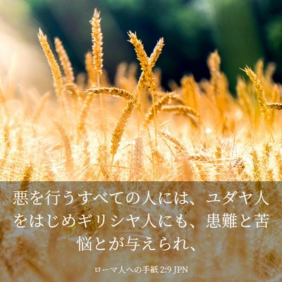 Picture 03 - ローマ人への手紙 2:9 JPN - 悪を行うすべての人には、ユダヤ人 - Bible Verse Picture