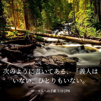 Picture 03 - ローマ人への手紙 3:10 JPN - 次のように書いてある、「義人はい - Bible Verse Picture