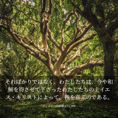 Picture 03 - ローマ人への手紙 5:11 JPN - そればかりではなく、わたしたちは - Bible Verse Picture