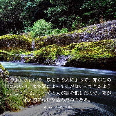 Picture 03 - ローマ人への手紙 5:12 JPN - このようなわけで、ひとりの人によ - Bible Verse Picture