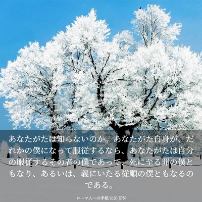 Picture 03 - ローマ人への手紙 6:16 JPN - あなたがたは知らないのか。あなた - Bible Verse Picture